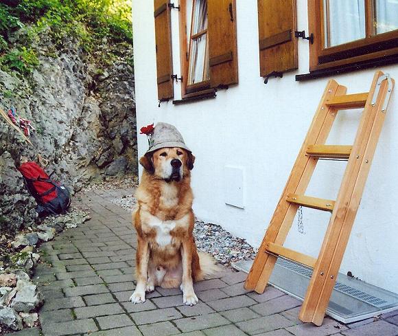 Do Khyi beim fensterln