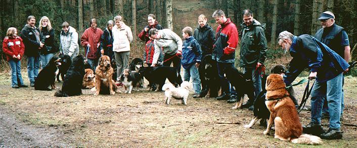 Do Khyi, Dokhyi, tibetan mastiff, Tibetdogge, Tibet Mastiff